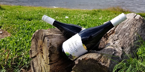 Ribezlove vino Miluron