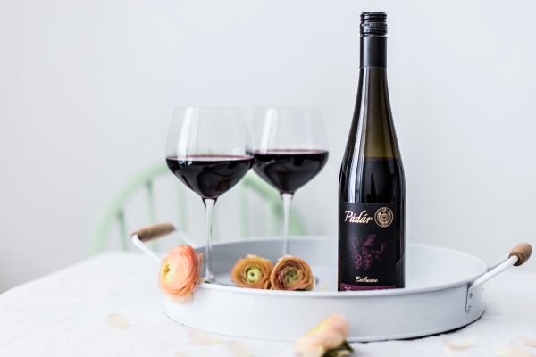 Ribezlove vino Padar