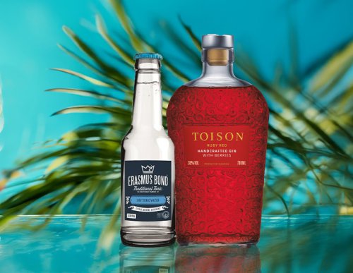 Gin & Tonic -25%