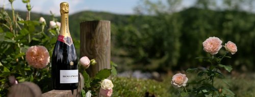 Spoznajte regióny a odrody Champagne