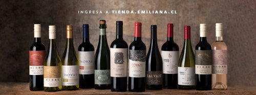 Emiliana Coyam 2009 členom klubu 90+ od Wine Spectator