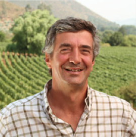 Arboleda