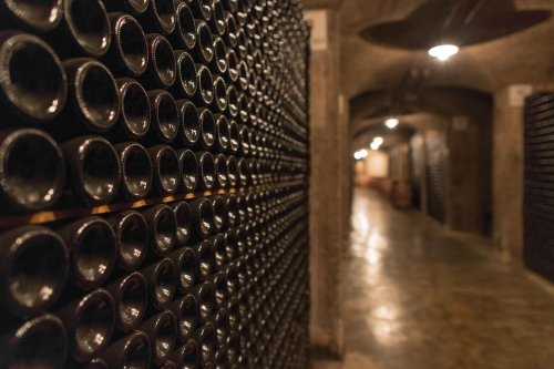 Ca' del Bosco