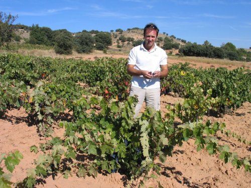 Bodegas Felix Callejo