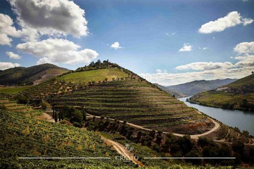 Quinta do Crasto