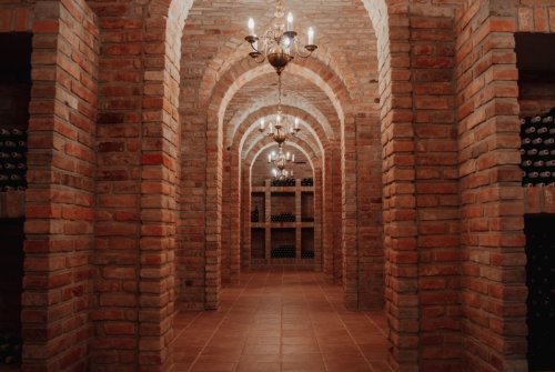 Vinidi