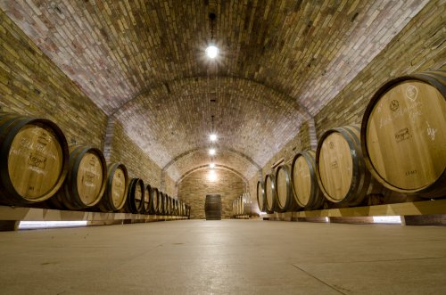 Winery header