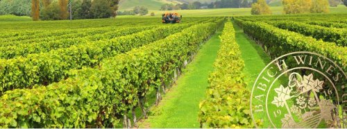 Winery header