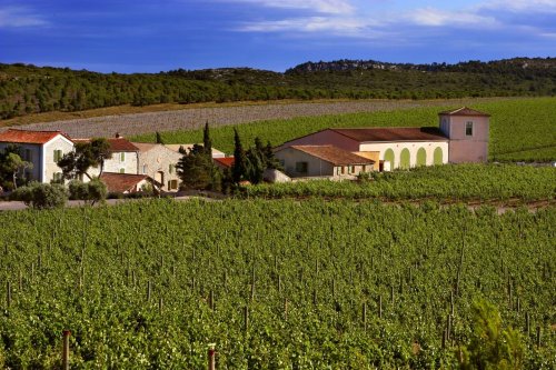 Winery header