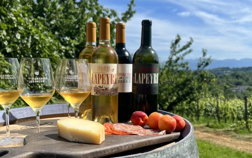 Winery header