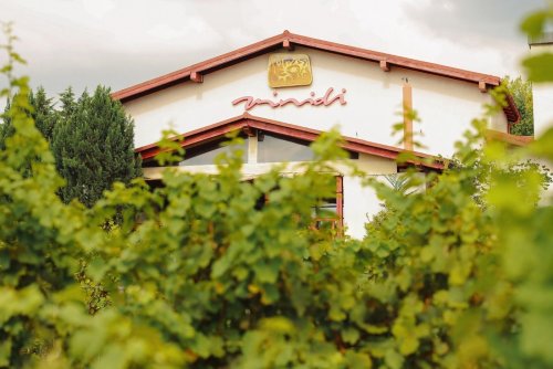 Winery header
