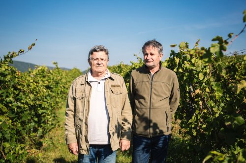 Winery header