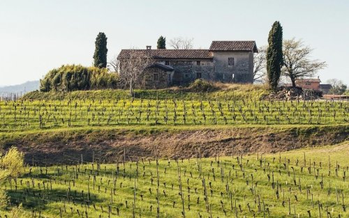 Winery header