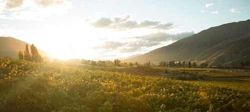 Winery header