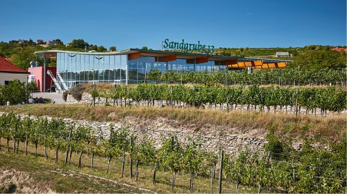 Winery header