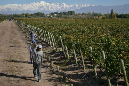 Winery header