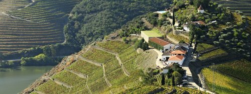 Winery header