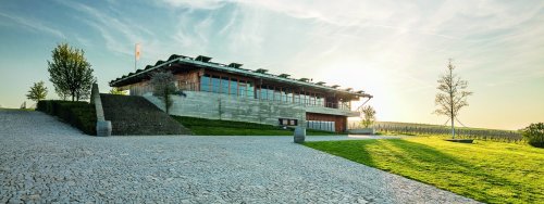 Winery header