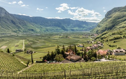 Winery header