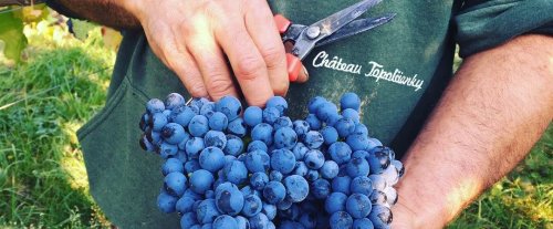 Winery header