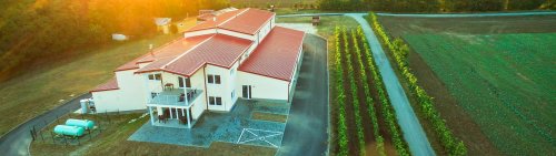 Winery header