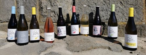 17. 2. - Degustácia Papillon Víno od Francúza