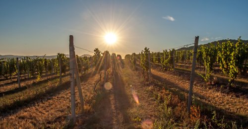 2018-09-27 Degustácia s vinárstvom Ostrožovič